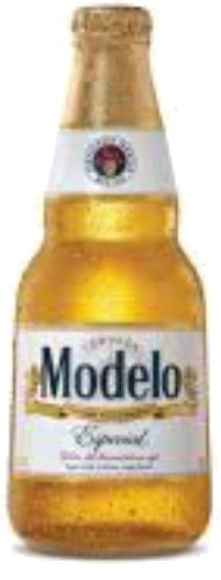 MODELO ESPECIAL 33CL